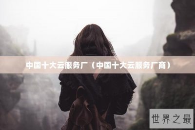 ​中国十大云服务厂（中国十大云服务厂商）