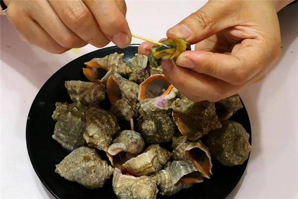 海螺不能和什么一起吃 海螺内脏可以吃吗 海螺不能和什么一起吃 海螺内脏可以吃吗