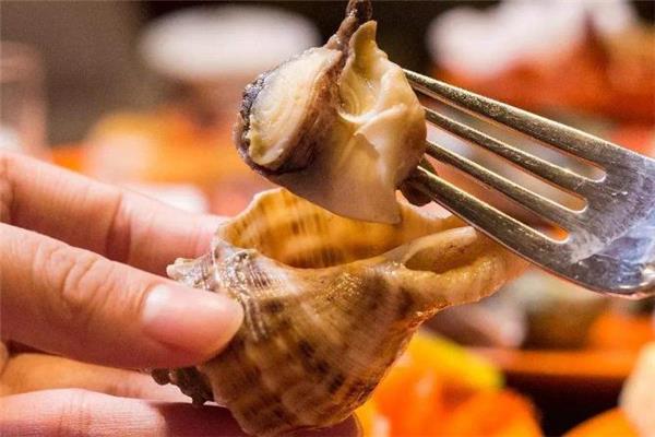 海螺不能和什么一起吃 海螺内脏可以吃吗 海螺不能和什么一起吃 海螺内脏可以吃吗
