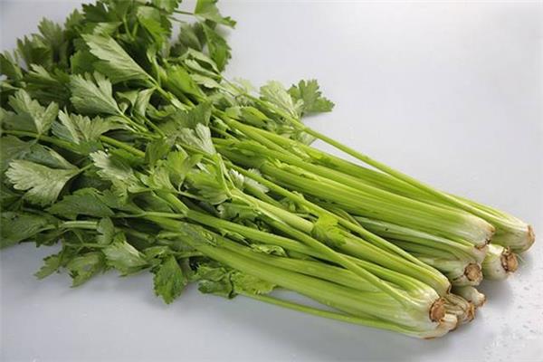芹菜有草酸吗 芹菜要焯水吗 芹菜有草酸吗 芹菜要焯水吗