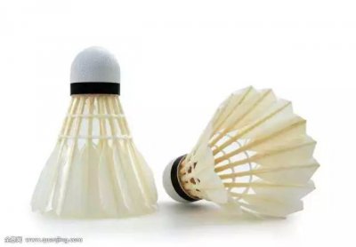 ​羽毛球上有几根羽毛 ？