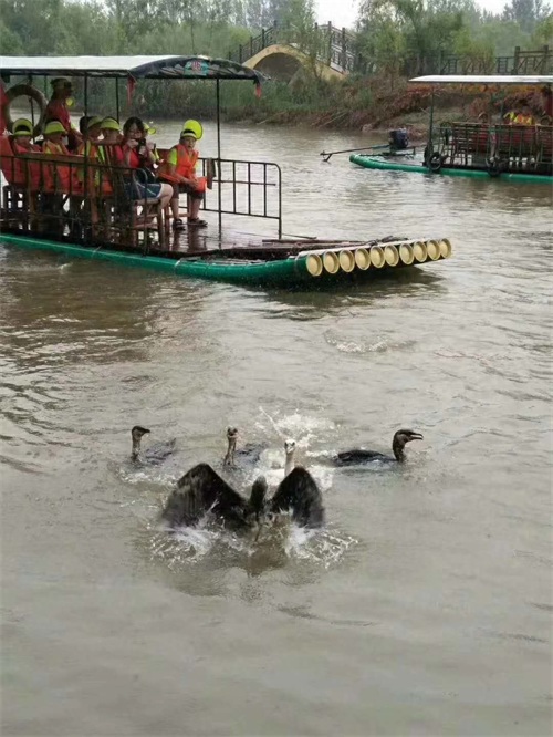 中国北方最大的岛-微山岛环游记