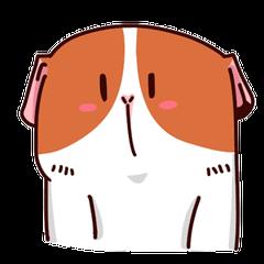 《甜蜜暴击》丁程鑫霸气上线，实力宠姐演绎中国好弟弟！