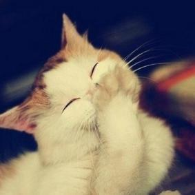 《甜蜜暴击》丁程鑫霸气上线，实力宠姐演绎中国好弟弟！