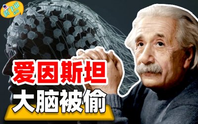 ​爱因斯坦死后最大谜团！大脑被验尸医生偷走，为何公开拒绝归还？