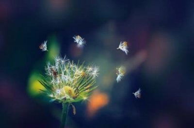 ​趣知识：衣服上的口香糖怎么清理衣服粘上口香糖怎么清洗掉