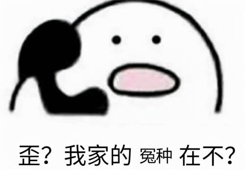 我家的冤种在吗表情包