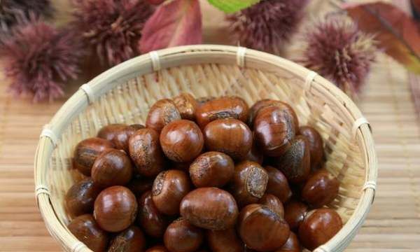 生板粟米怎样保存,小米是大米的一种吗蚂蚁庄园图3