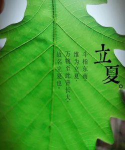 ​立夏吃蛋的寓意，农村老话说“立夏吃了蛋,热天不疰夏”是什么意思？