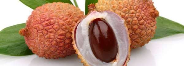 荔枝是上火的还是下火的,荔枝上火还是去火图2