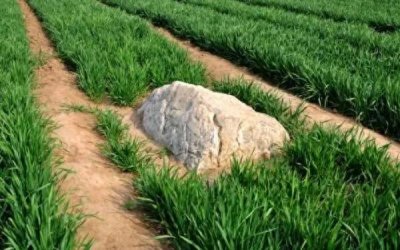 ​世界最小的山：寿光静山，一个微小却充满魅力的世界