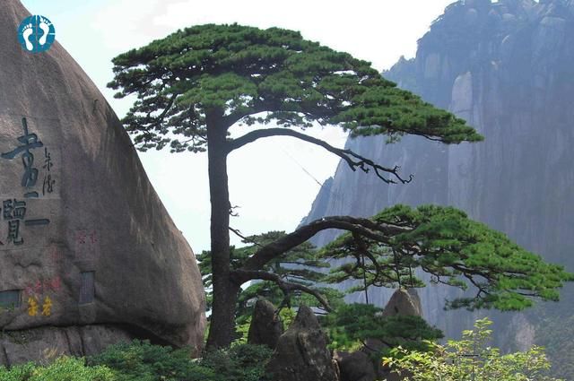 江浙沪是哪里,江浙沪是哪里?图13