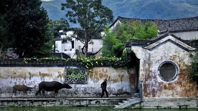 江浙沪是哪里,江浙沪是哪里?图8