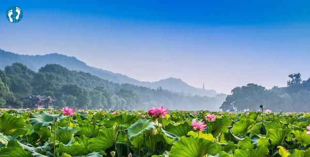 江浙沪是哪里,江浙沪是哪里?图12