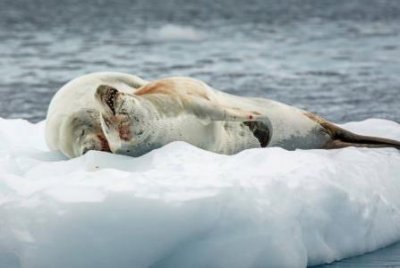 ​沈阳老字号美食店铺