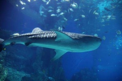 ​乐都到兰州多少公里乐都至兰州动车票查询