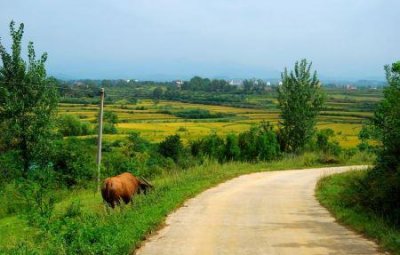 ​北京牛街美食攻略