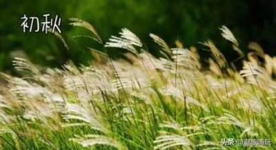 ​喀纳斯旅游攻略，喀纳斯旅游攻略自由行攻略