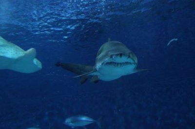 ​k457次列车k457次列车如何过海