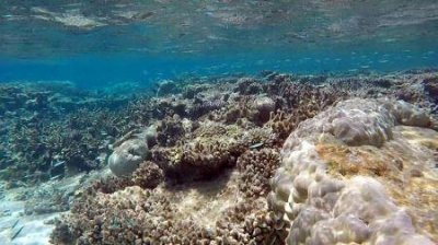 ​上海周边去哪里旅游