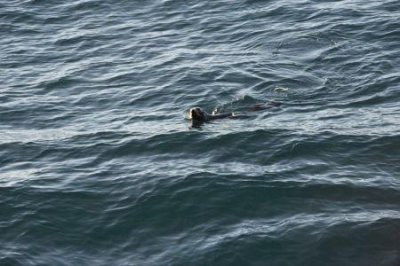 ​青岛大连旅游必玩景点哪个景点最受游客欢迎