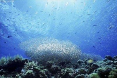 ​浙江旅游景点自驾游五日游攻略：周末必玩的热门打卡点推荐