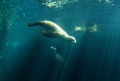 ​临沂的特色景点有哪些哪些适合亲子游