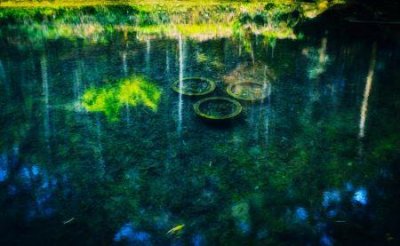 ​淄博市公交线路119路线图