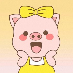 ​壁纸头像更新｜可爱猪猪头像