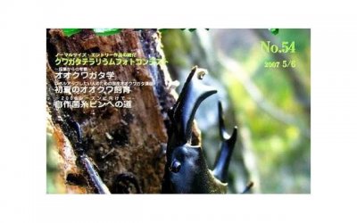 ​对的时间对的人 怎样表白才能成功率高