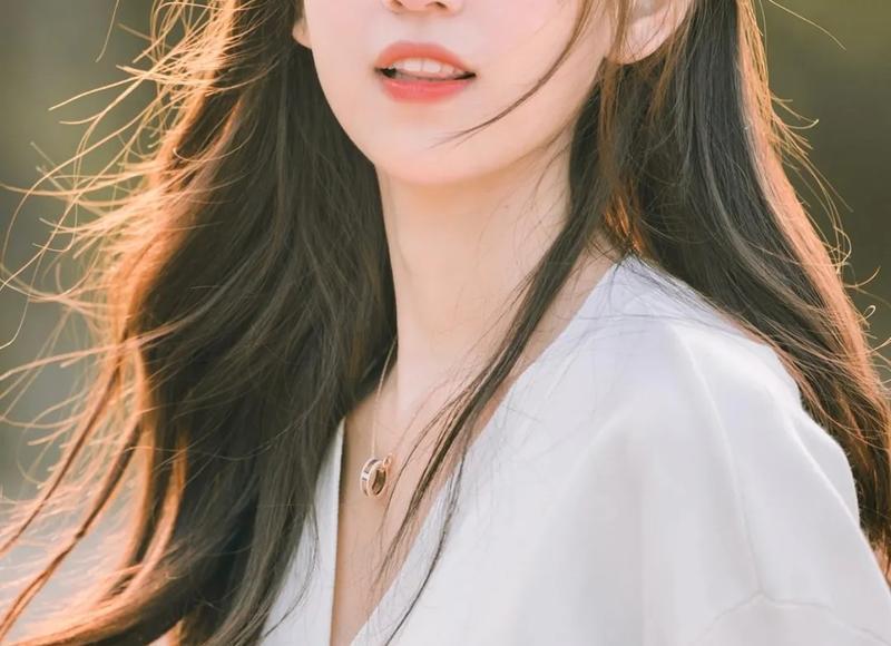 掌中之物作者（作者发文回应傅慎行的粉丝）