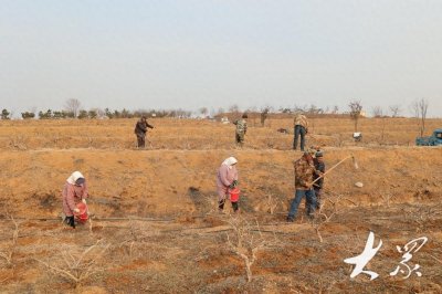 ​高产、高效、无污染、无公害，这里的千亩药圃引来满城香