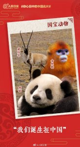 ​什么是你心目中的中国名片？