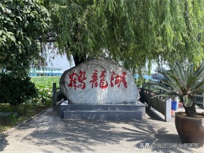 ​湖南省湘阴县，鹤龙湖荷花公园，可惜的是没有多少荷花盛开