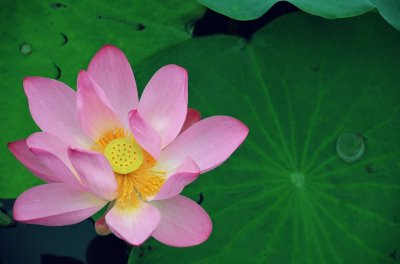 ​老人临终前要准备什么？这些可以提前准备！避免手忙脚乱