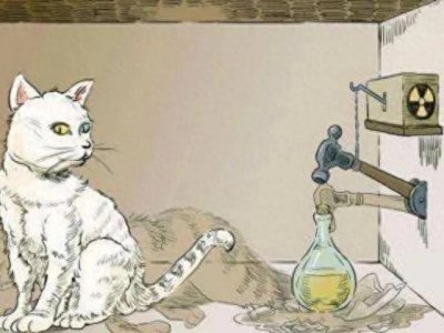 ​从薛定谔的猫定律，能给我们带来什么人生启示