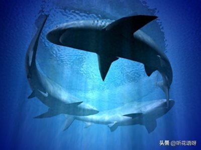 ​揭秘远古海洋的恐怖巨兽：生物界的未解之谜