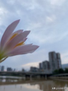 ​静谧之旅：十大静心曲轻音乐，带你穿越喧嚣寻安宁