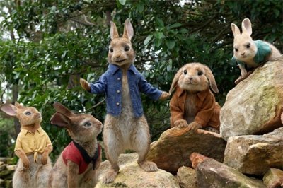 ​《比得兔》：勇敢兔子的奇幻冒险！