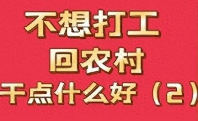 ​不想打工了回农村！解锁农村4种超赞生活模式