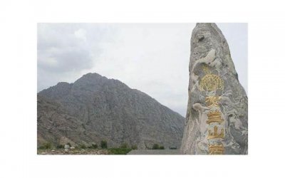 ​探探上的女生不回消息？教你如何用探探撩妹！