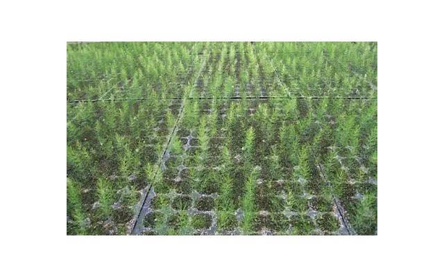 下一段恋情测试：眼神停留的部分，是阻止你遇见下一段恋情的原因