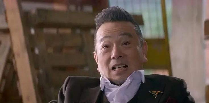 白百合电视剧大全（白百何时隔四年再演电视剧）