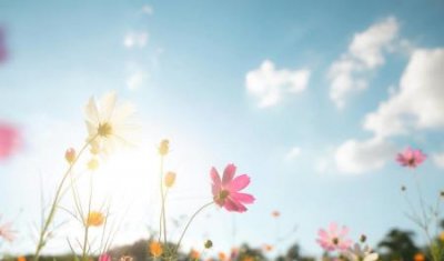 ​公众号如何快速涨粉公众号涨粉方法有哪些