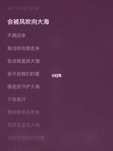 ​会不会我们的爱会被风吹向大海是什么歌（星辰大海完整歌词）