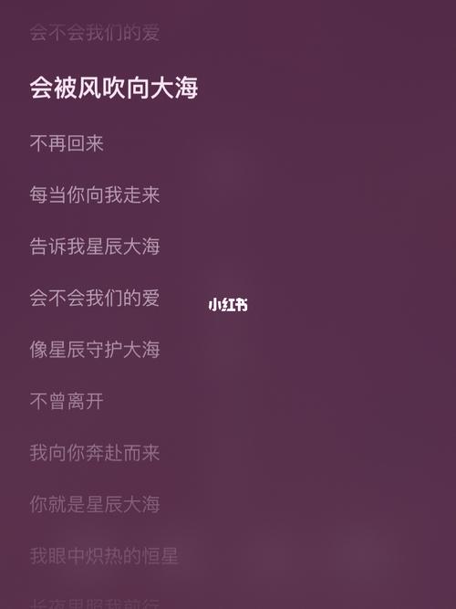 会不会我们的爱会被风吹向大海是什么歌（星辰大海完整歌词）