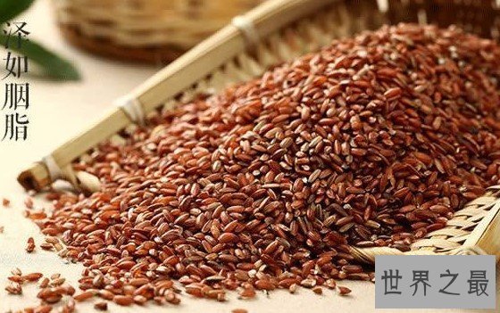 世界上最贵的米,竟然达到了200元一斤