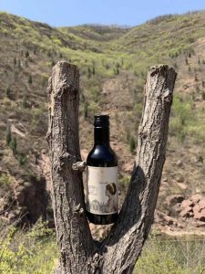 富登庄园干红(红日庄园干红)