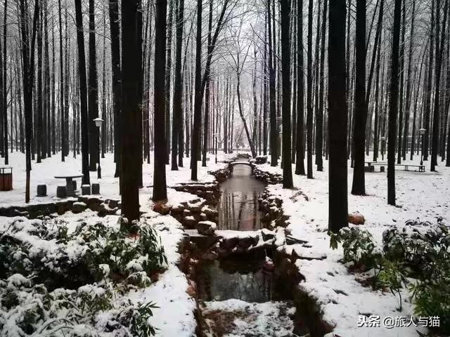 南京：下雪啦，盘点南京最美拍雪圣地
