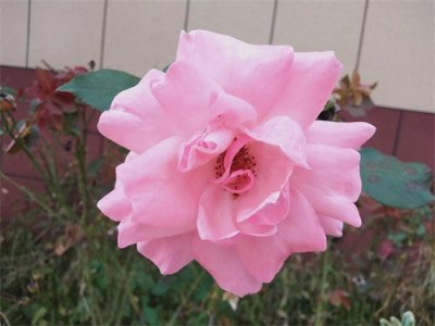 ​二十四节气歌，每个季节六个节气